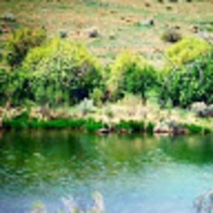 Meet your Posher, AnnaRose